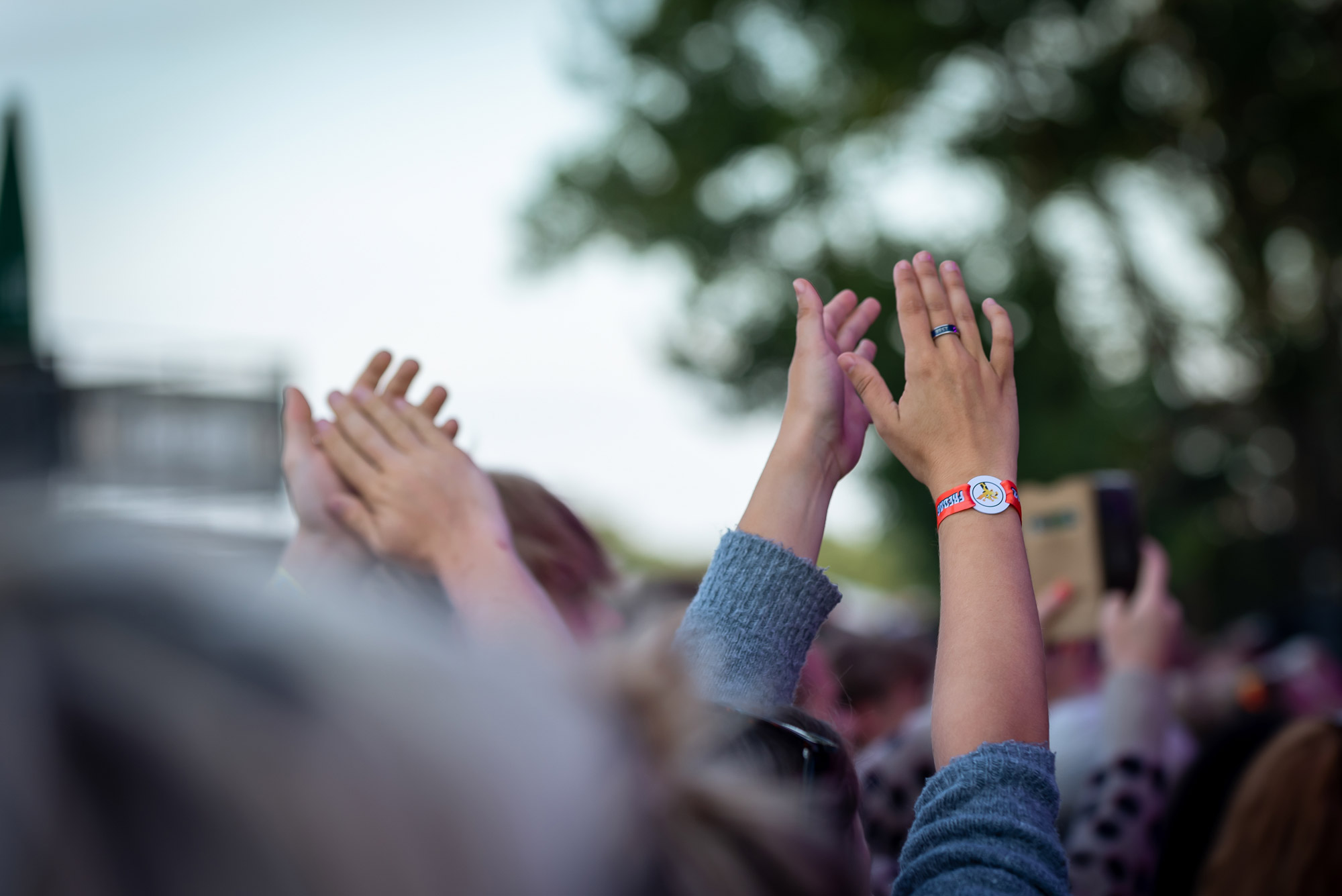 festivalarmbånd